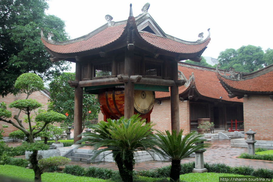 Цветы в храме Литературы Ханой, Вьетнам