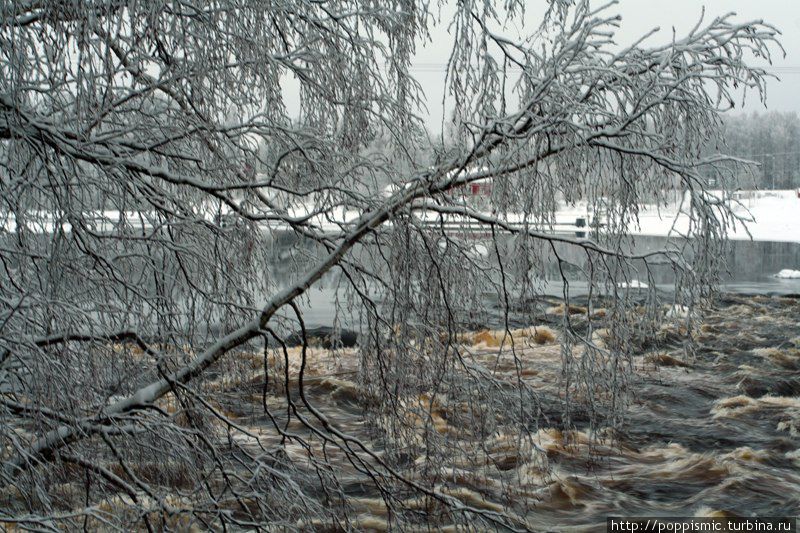 Варьола Лаукаа, Финляндия