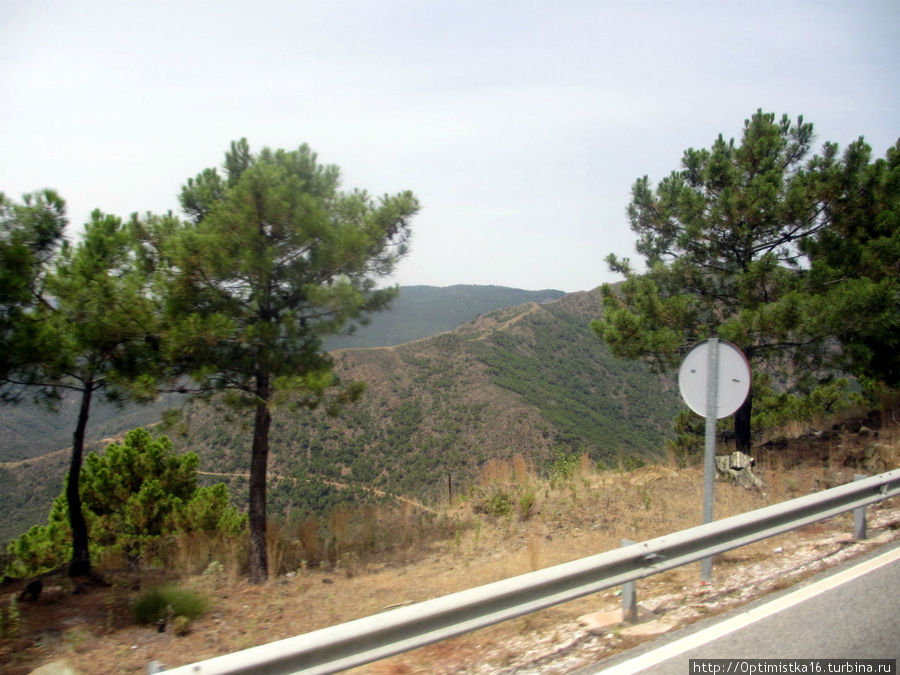 Дорога в Ронду из окна автобуса Ронда, Испания