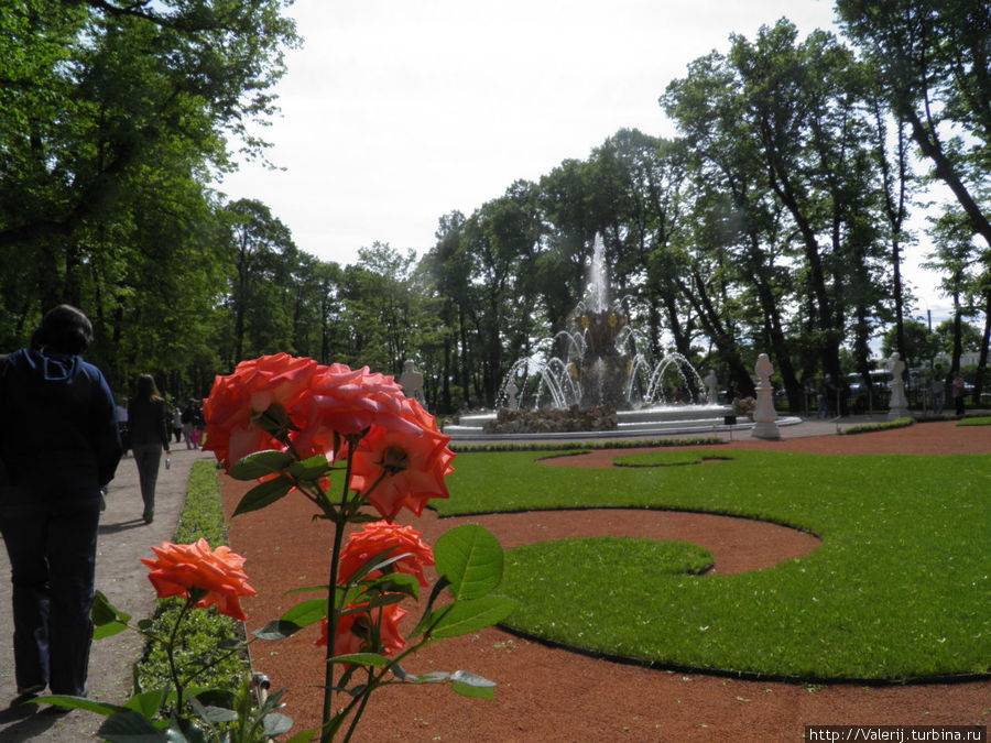 Летний сад Санкт-Петербург, Россия
