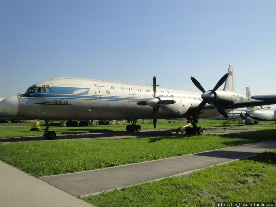 Под крылом самолета....Музей авиации в Киеве, май 2012 Киев, Украина