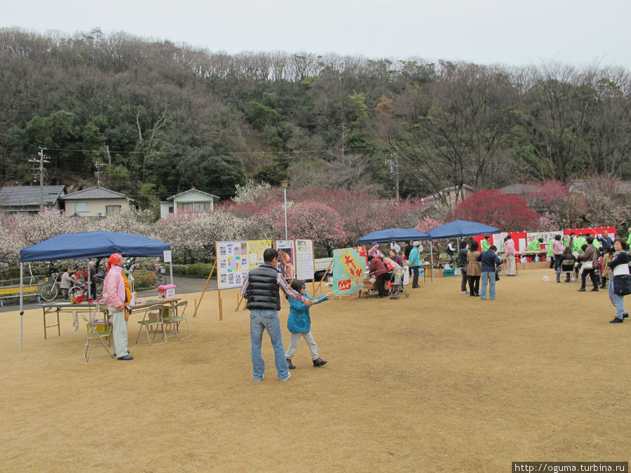 На центральной клумбе в период цветения устраиваются различные мероприятия. Гифу, Япония