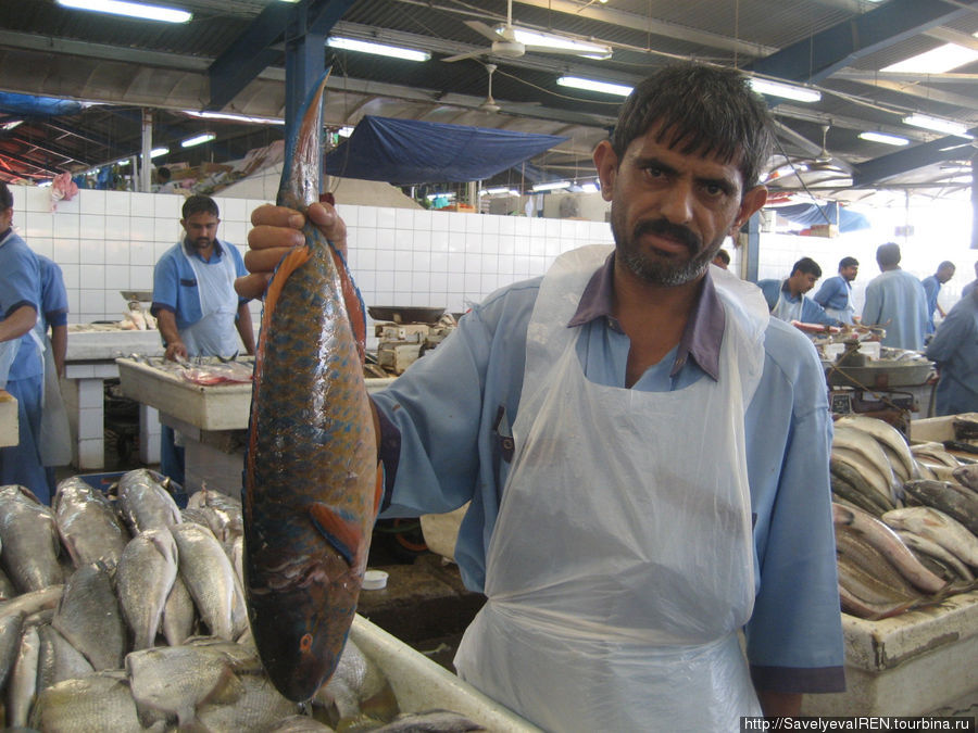 Рыбный и овощной рынок Дубай, ОАЭ