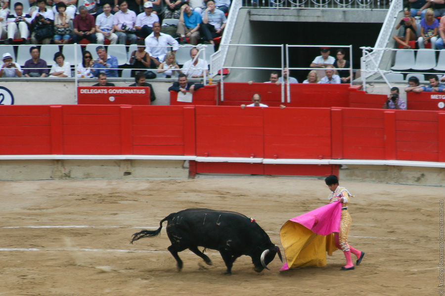 Испанская коррида Барселона, Испания