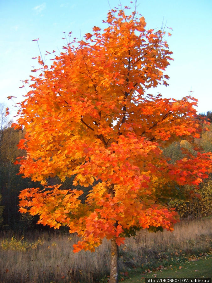 Прям как в России Винстра, Норвегия
