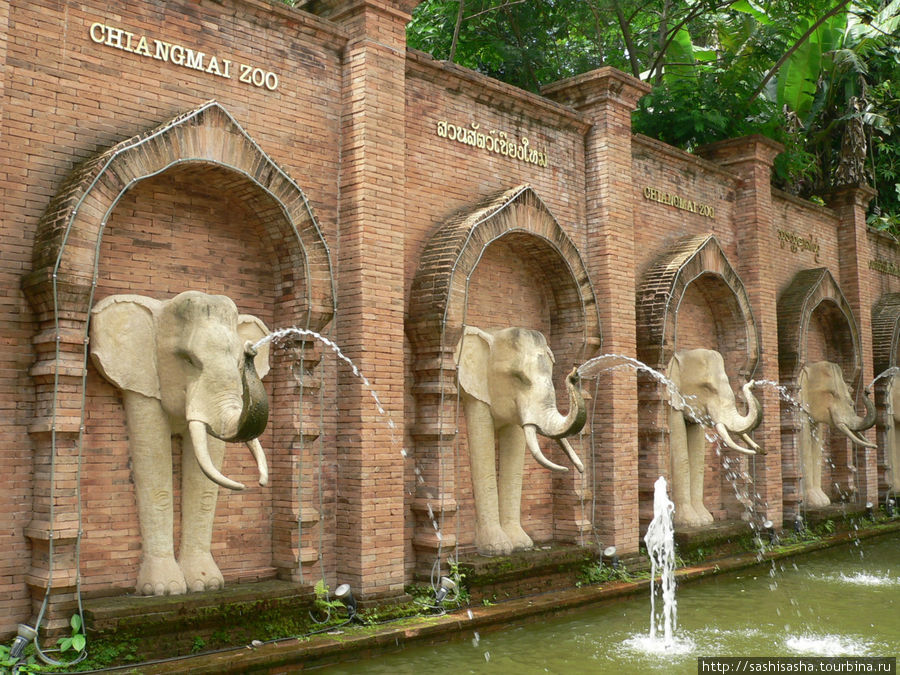 Зоопарк / Chiang Mai Zoo