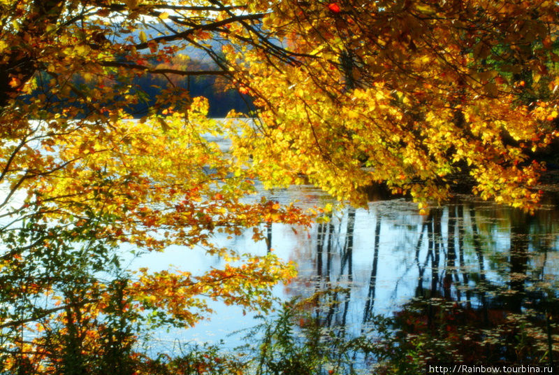 Разноцветная  осень  в Новой Англии Штат Массачусетс, CША