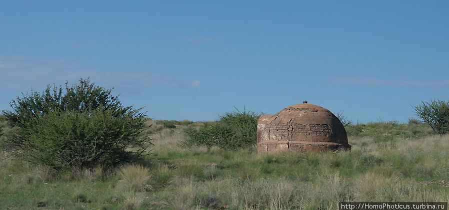 Сафари в Калахари Область Карас, Намибия
