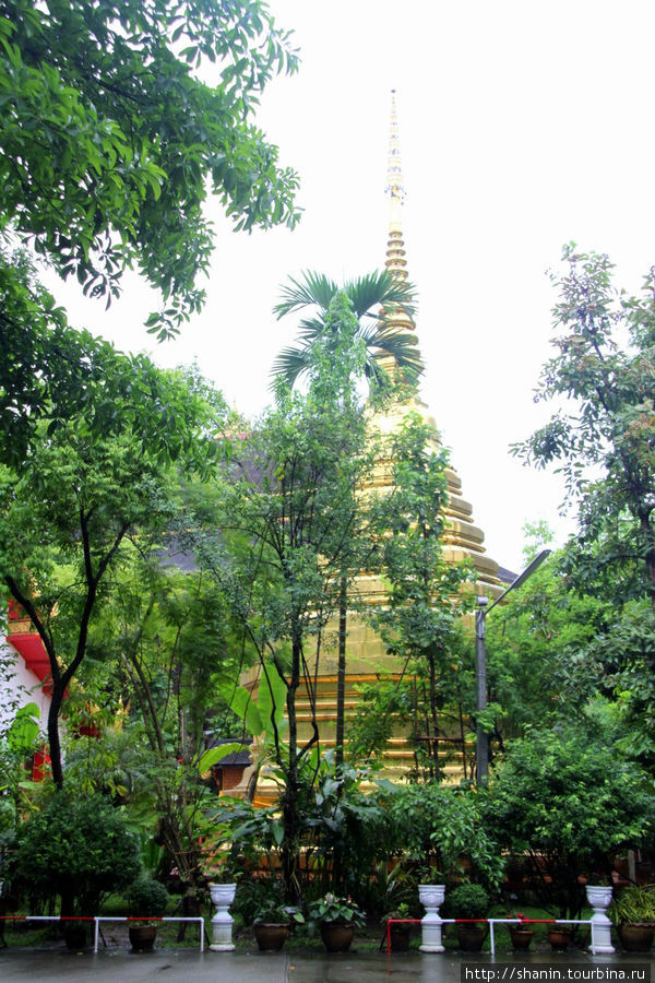 Тропический парк в монастыре Ват Пракео Чианграй, Таиланд