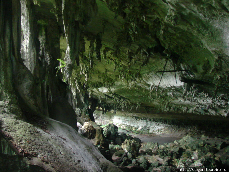 В пещеры каждый день приходят несколько мужчин с соседней деревни для сбора ласточкиных гнёзд