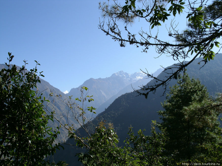 Вверх от Туло -Сябру среди тамангов Лангтанг, Непал