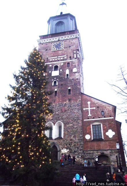 Турку. Кафедральный собор и главная елка страны. Турку, Финляндия