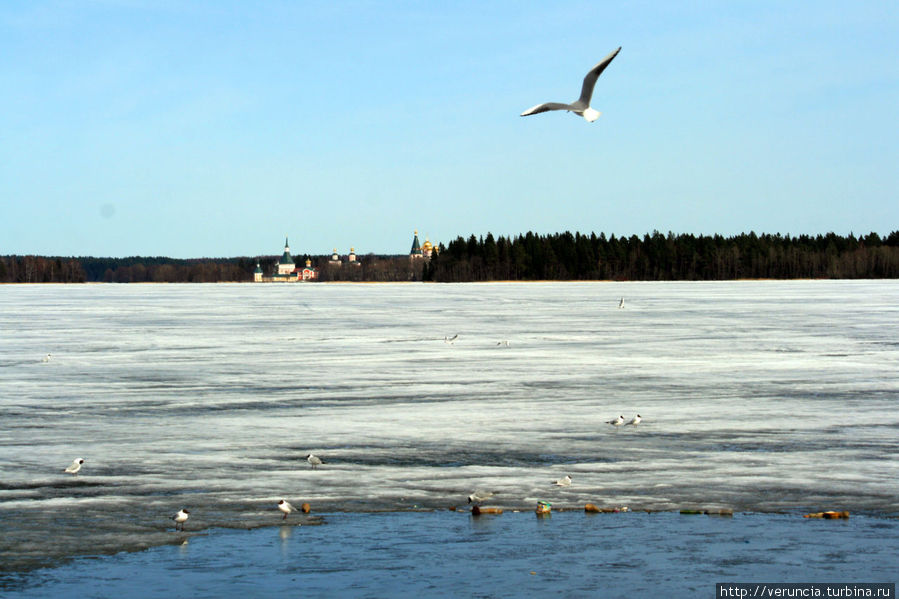 Валдайское озеро Валдай, Россия