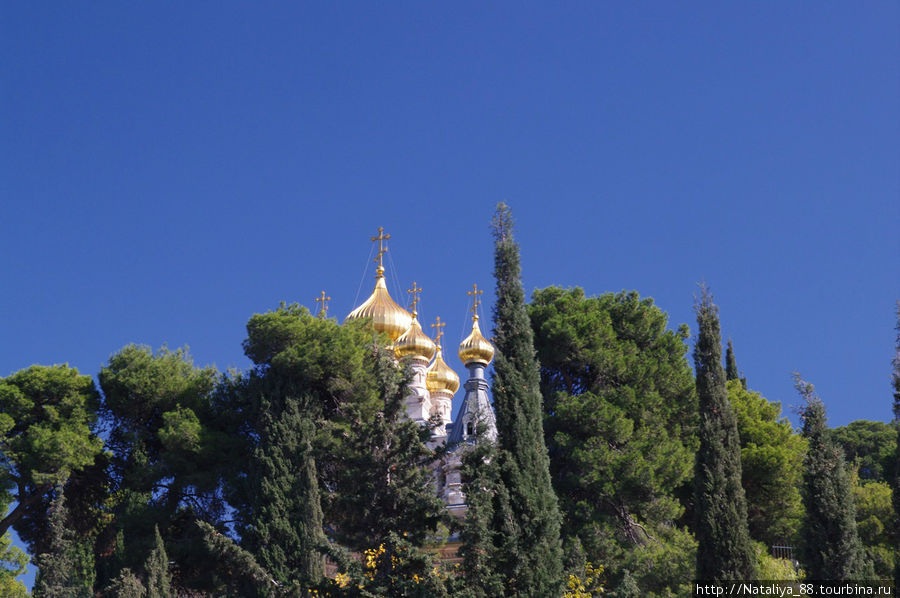 Русский храм св. Марии Магдалины в Гефсиманском монастыре. К сожалению туда мы не успели попасть. Иерусалим, Израиль