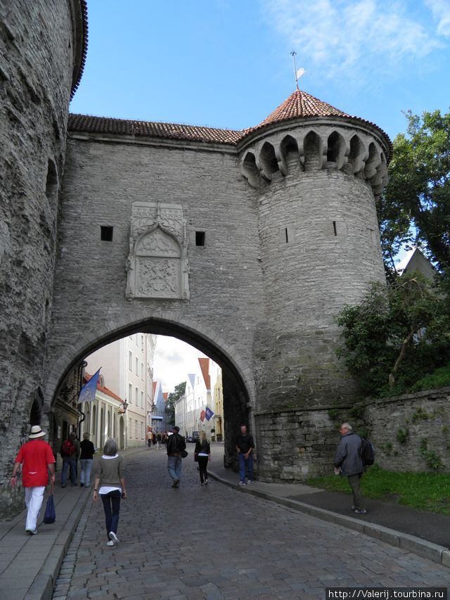 Ворота Старого города Таллин, Эстония