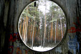 Окно  в лес