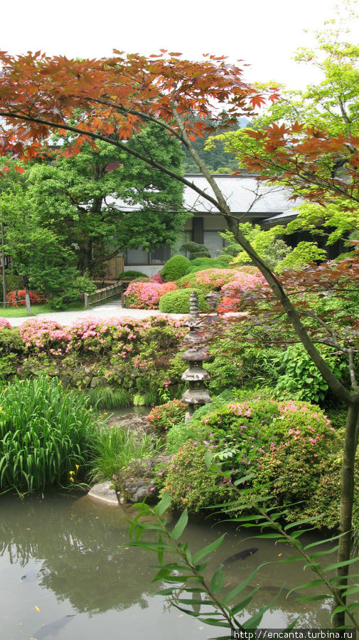 японский сад Япония