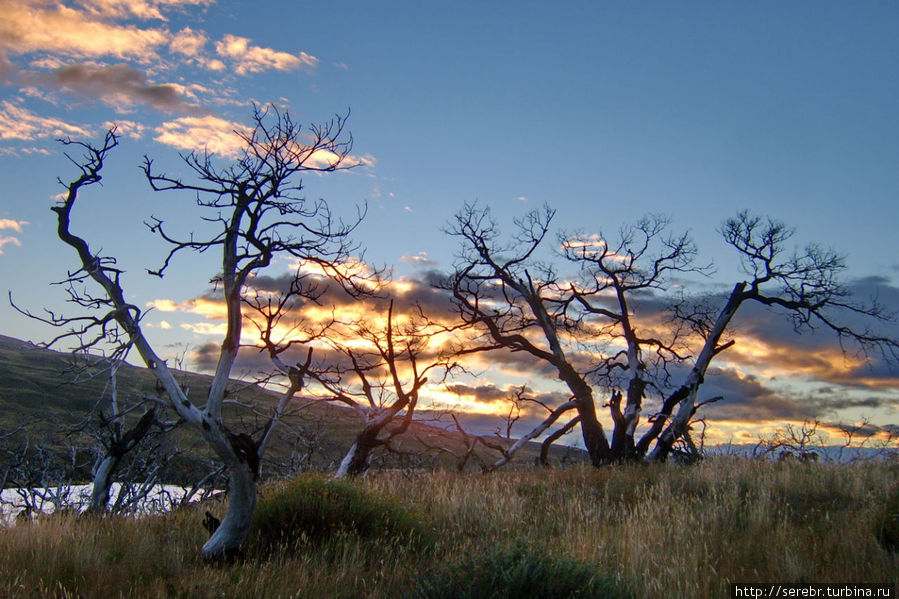Это уже утро следующего дня. Такое же тихое и безмятежное как и вечер. Национальный парк Торрес-дель-Пайне, Чили