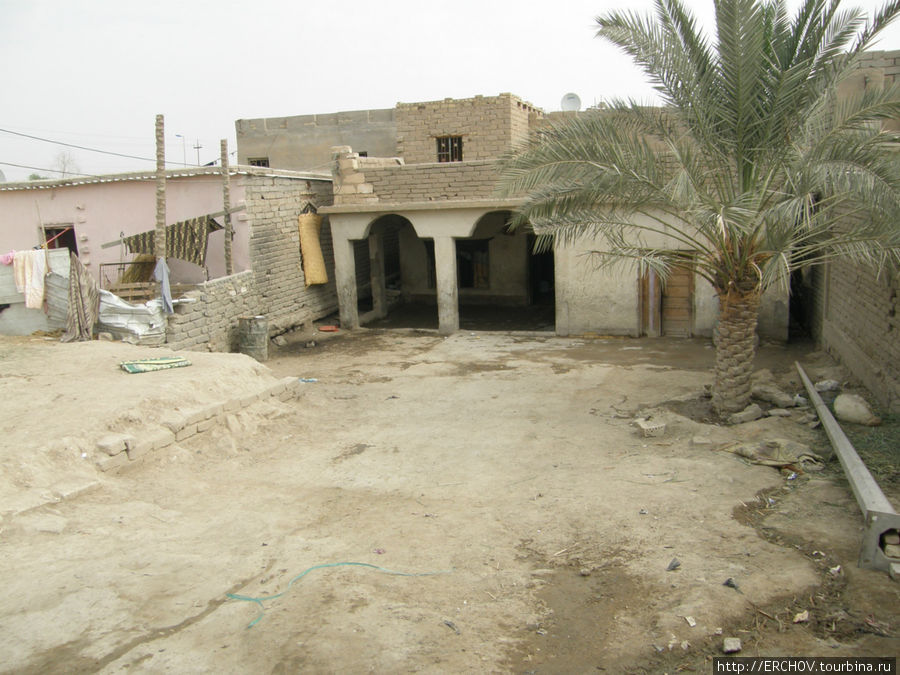 Обычная арабская деревушка Провинция Басра, Ирак