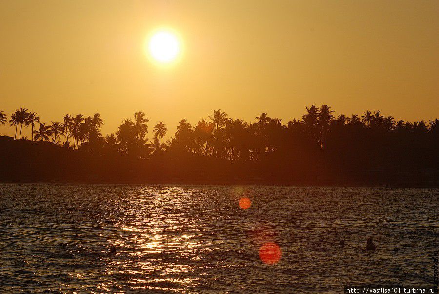 Унаватуна: море-солнце-пальмы-пляж Унаватуна, Шри-Ланка