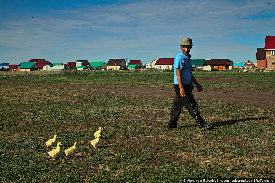 На окраине одного села нашли стихийный птичий рынок — торговали курами, гусятами и утятатми прямо с машин. Уфа, Россия