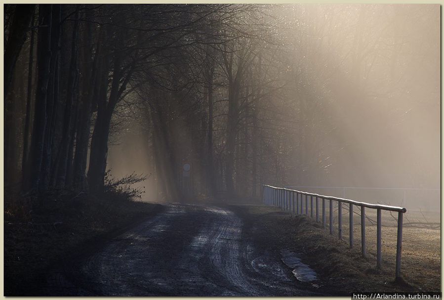 Дорога в тумане Германия