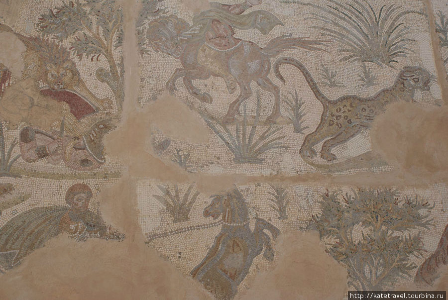 Сохранившаяся мозаика Тунис, Тунис