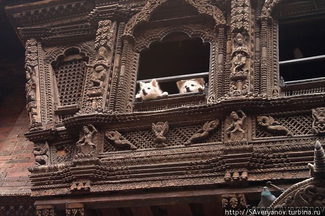 Балкон Принцессы Кумари Катманду, Непал