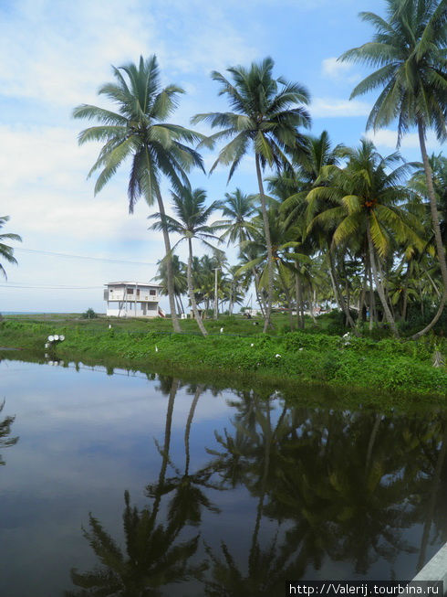 Sri Lanka(23). Беда – она не национальна, а интернациональна Галле, Шри-Ланка