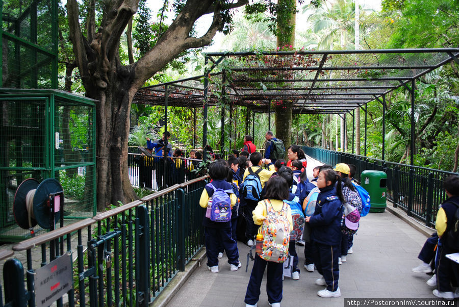 школьники изучают зоологию Гонконг