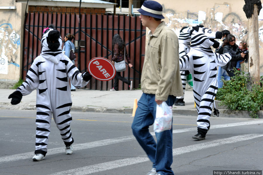 Переходите дороги при помощи зебры! Ла-Пас, Боливия