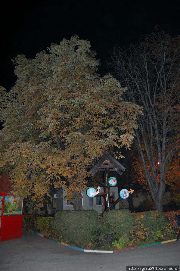 Осенний парк в свете фонарей Саратов, Россия