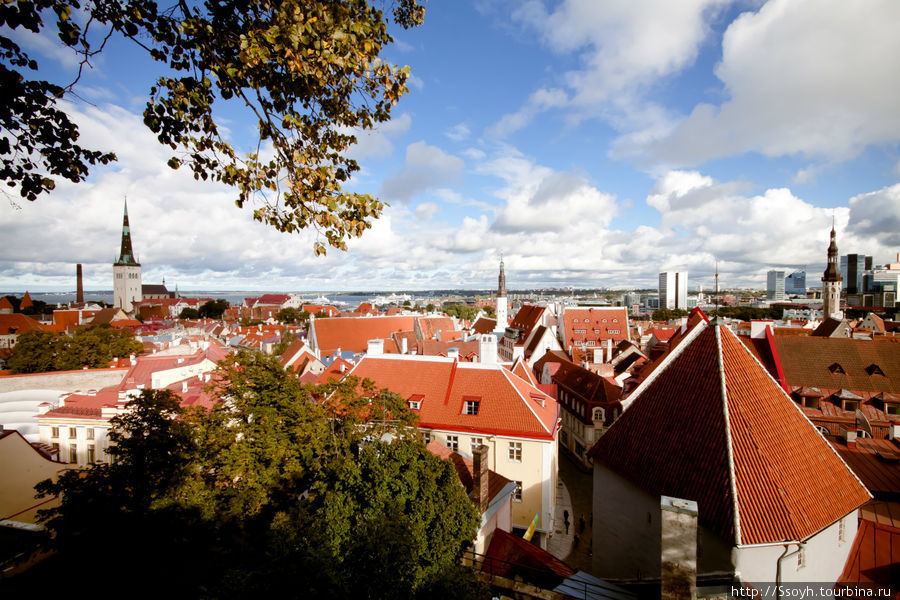 В Таллине есть несколько смотровых площадок, откуда открывается приятный вид. Таллин, Эстония