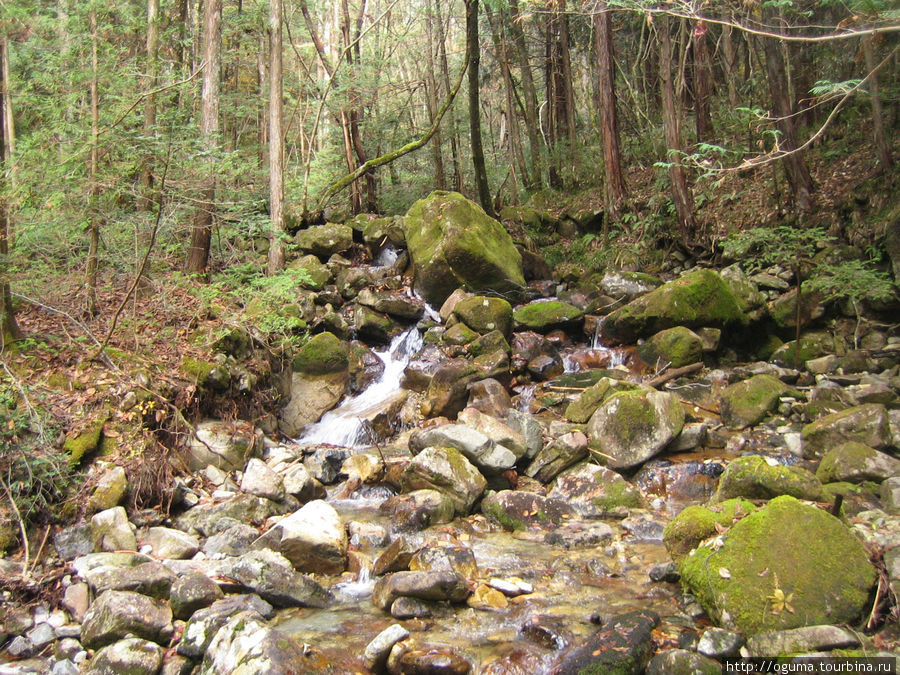 Ручей, который снабжает водопад Префектура Нагано, Япония