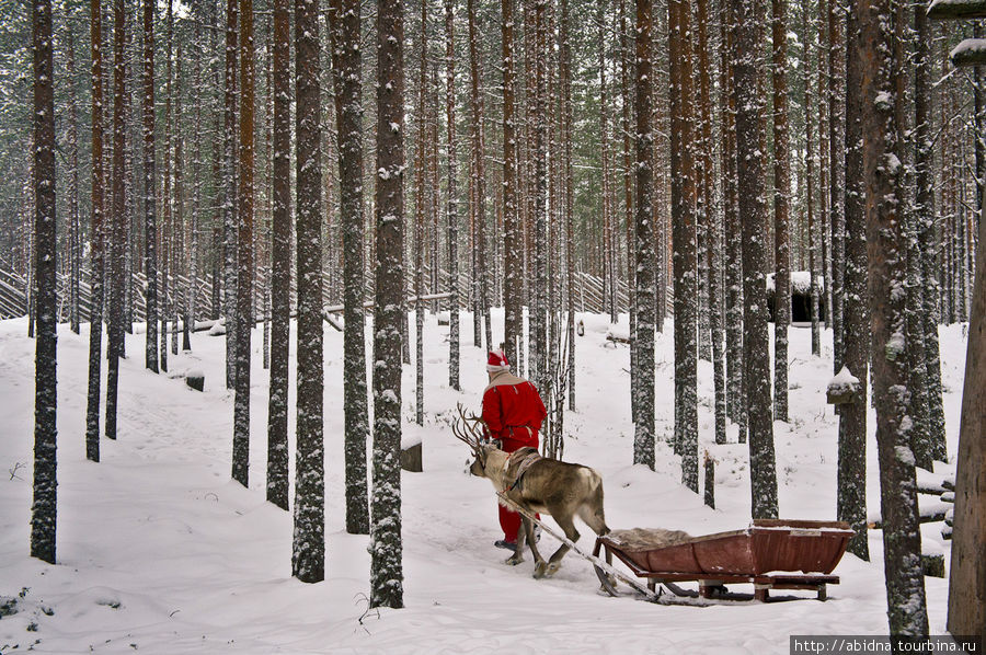 В гостях у финского Санта Клауса