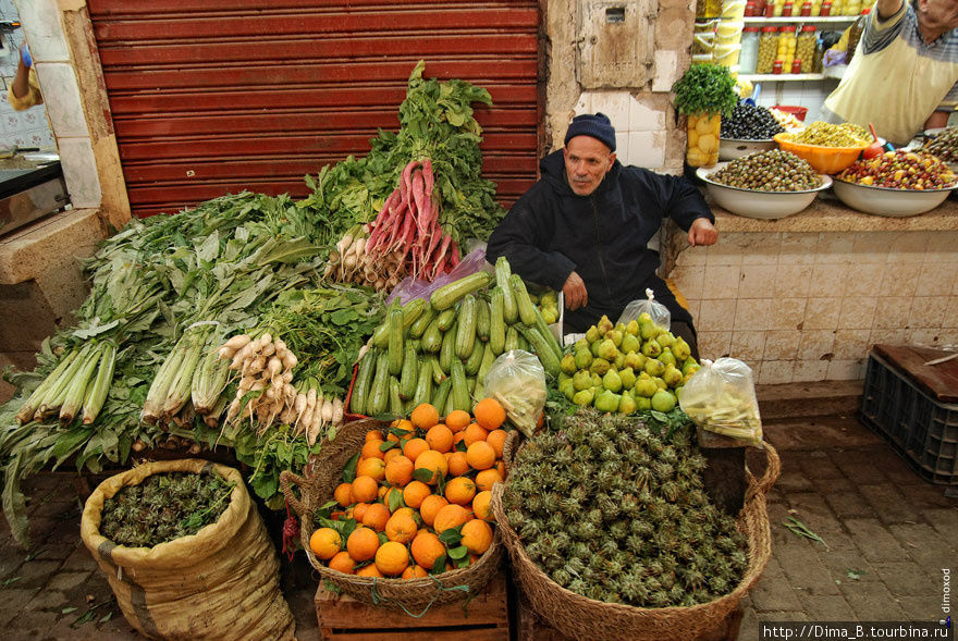 Жители Феса Фес, Марокко
