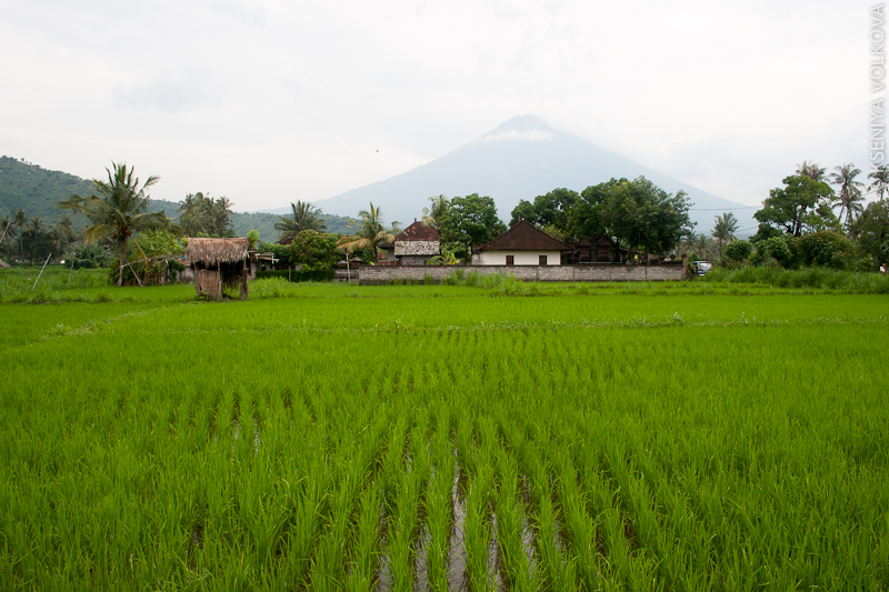 Проезжая Агунг Бунутан, Индонезия