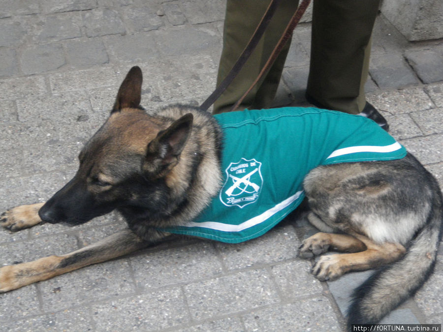 На службе Сантьяго, Чили