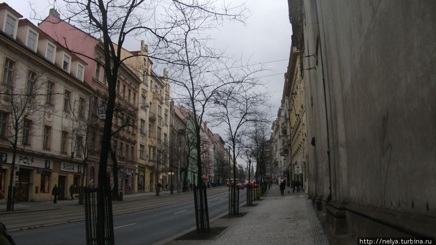 Улица Jecna, на которой пивоваренный дом, куда мы так стремились Прага, Чехия