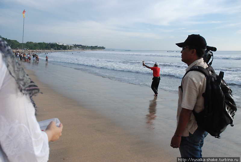 Как Турбина участвовала в спасении морских  черепах Кута, Индонезия