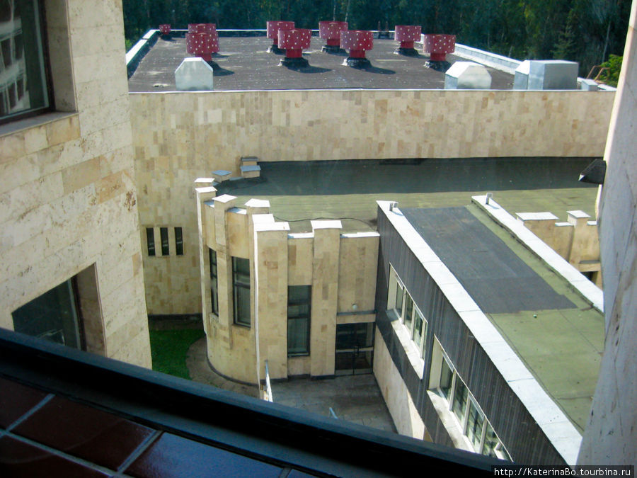 Вид из окна на пятом (если не изменяет память) этаже. Домодедово, Россия