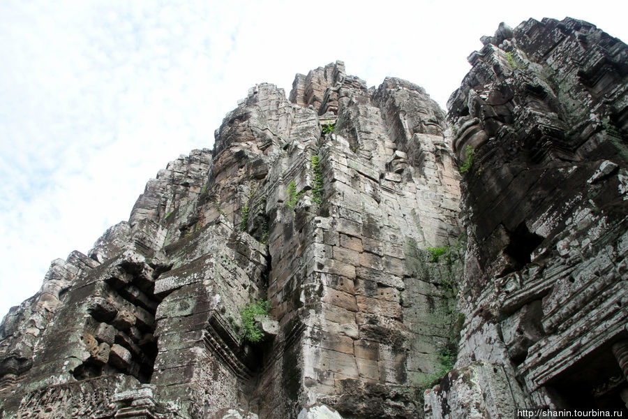 Самый мистический храм Ангкор (столица государства кхмеров), Камбоджа