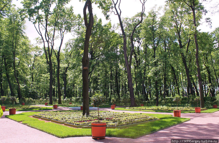 Летний сад. Метаморфозы Санкт-Петербург, Россия