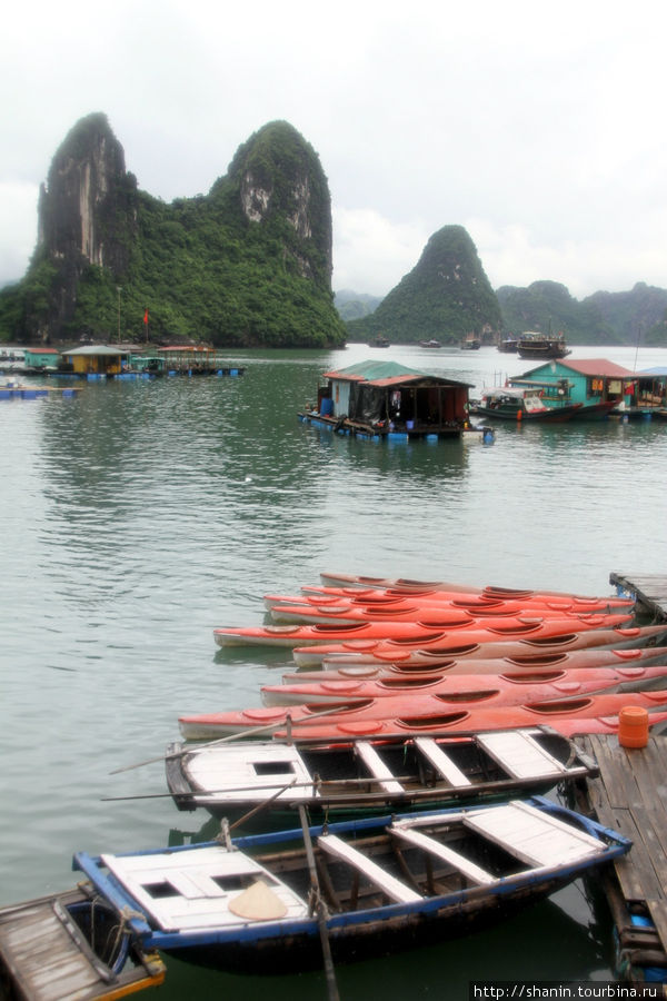 На байдарках по бухте - и дождь не помеха Халонг бухта, Вьетнам