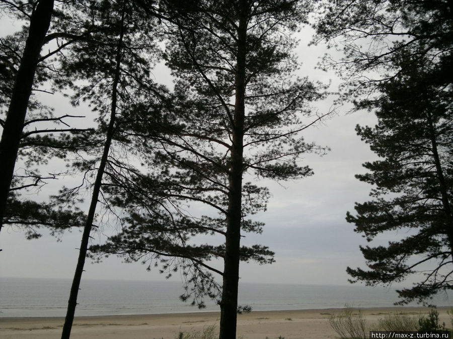 Мересу — милый прибрежный уголок на границе с РФ Кохтла-Ярве, Эстония