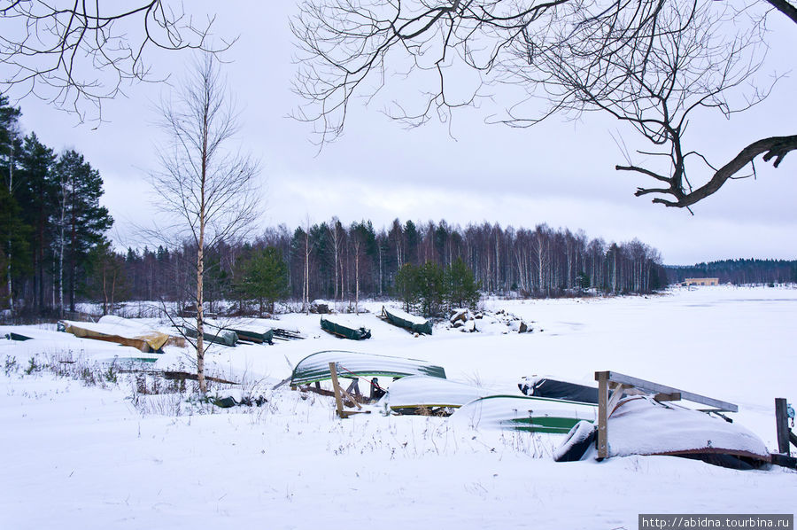 Летом, видимо, эти лодки используются для катания по озеру Нурмес, Финляндия