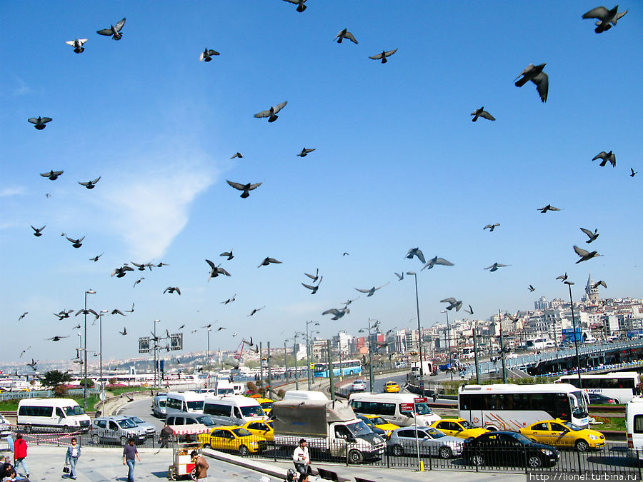 Весна в Турции: необъятный Стамбул Стамбул, Турция