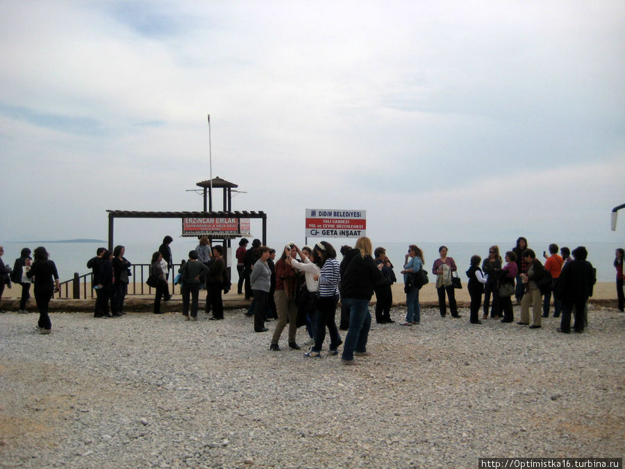 А этих турецких туристов привезли к морю на автобусах Дидим, Турция