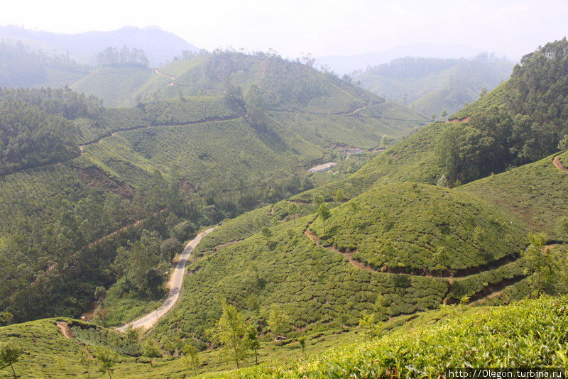 Чайные холмы, а внизу дорога Муннар, Индия