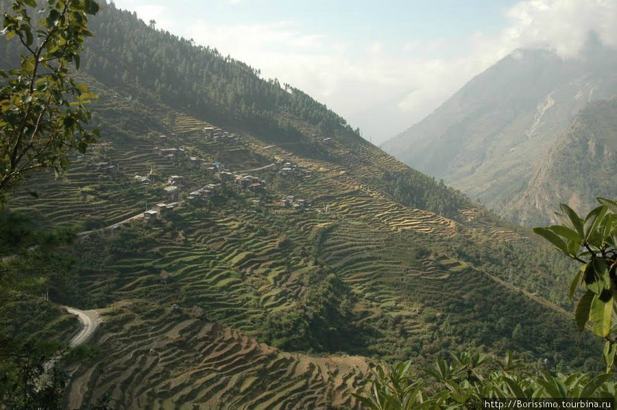 Любой клочок земли в Непале бережно и трудолюбиво обрабатывается и даёт урожай. Все склоны покрыты бесчисленными террассами. Непал